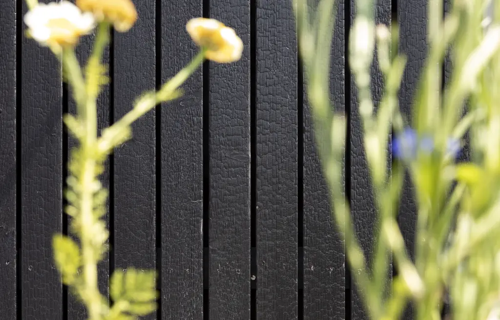 Holzbau Zenz