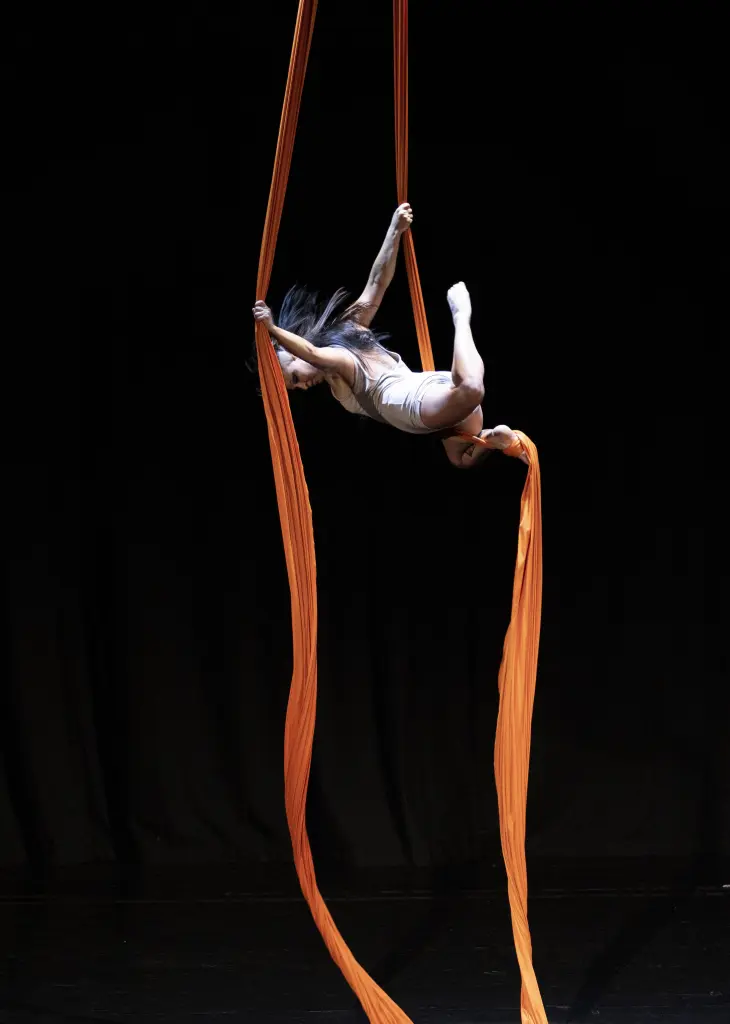 Mota Circusgala